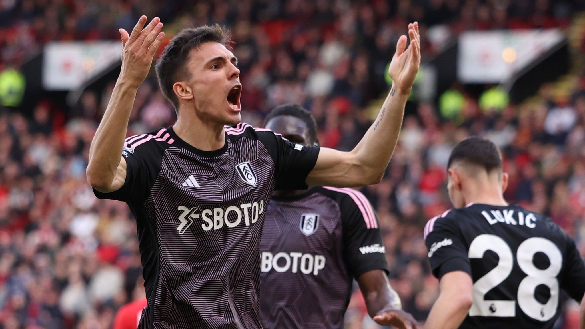 João Palhinha, Fulham
