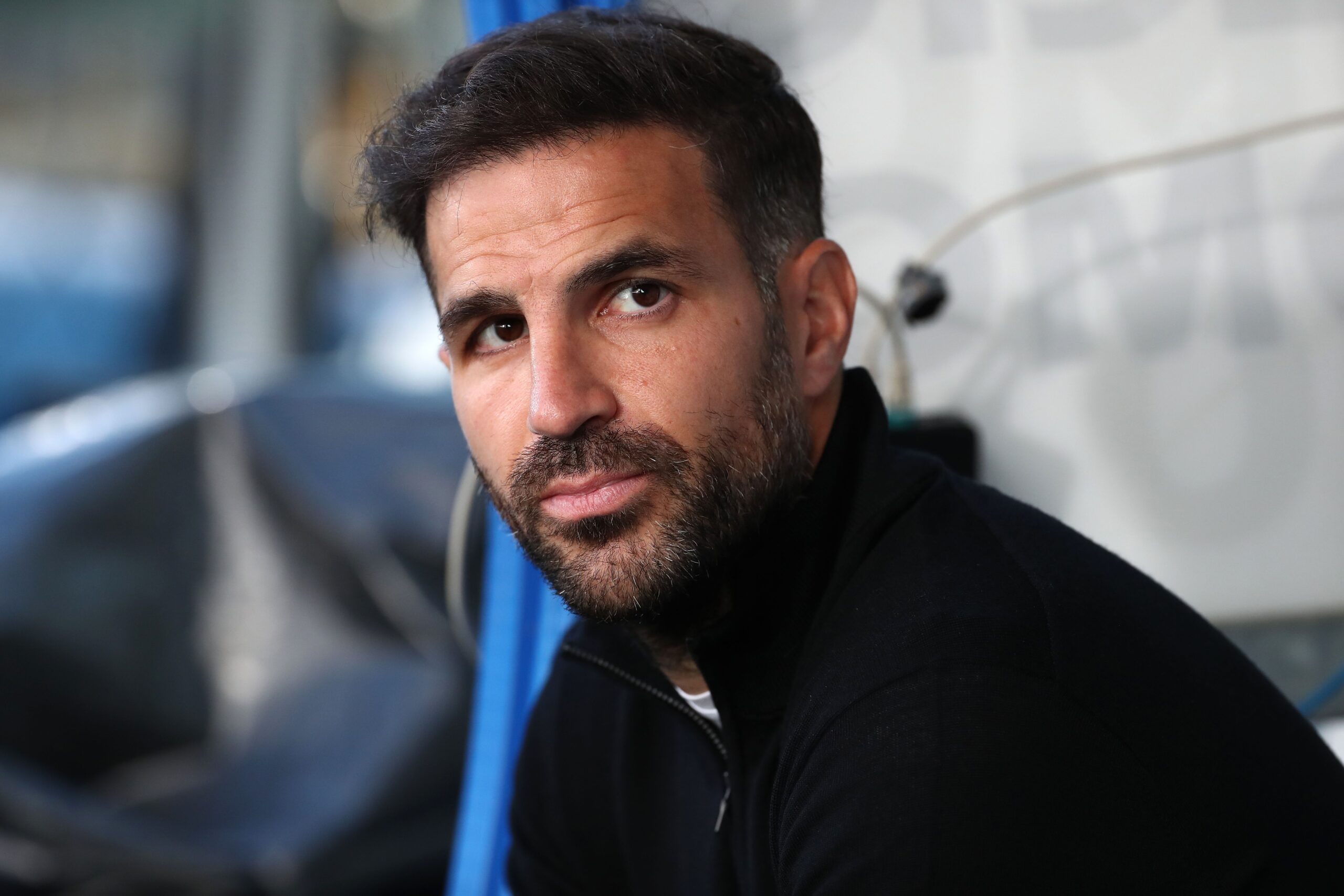 Fabregas, appello della città di Como per farlo rimanere: "Resta con noi, sei il nostro simbolo"